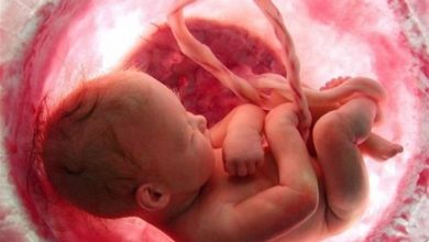 تصویر سقط جنین ۲۰ برابر تلفات سوانح رانندگی کشور!