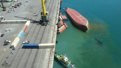 تصویر ناکارآمدی سازمان بنادر در مدیریت خطوط کشتیرانی
