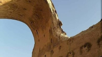 تصویر اعلام آمادگی ۱۱ باستان‌شناس و معمار ایرانی برای مشارکت مالی و فنی در پروژه مرمت طاق کسری
