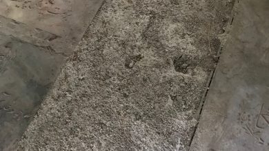تصویر آیا خلیل ملکی نبش قبر شده است؟! /مسجد فیروزآبادی رکورد گورستان ابن‌بابویه در جابه‌جایی قبرها را شکست! 