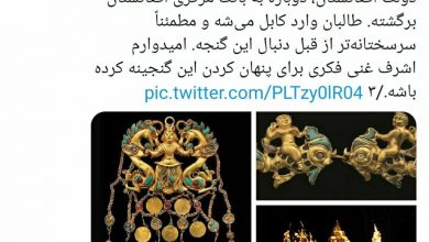 تصویر درخواست برای صیانت از میراث فرهنگی افغانستان