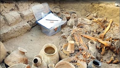 تصویر انحراف پژوهشکده باستان‌شناسی در کاوش‌های نجات‌بخشی