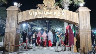 تصویر افتتاح اولین باغ وحش مصنوعی ساوانا در بندرعباس/ سفری به دنیای حیوانات آفریقایی